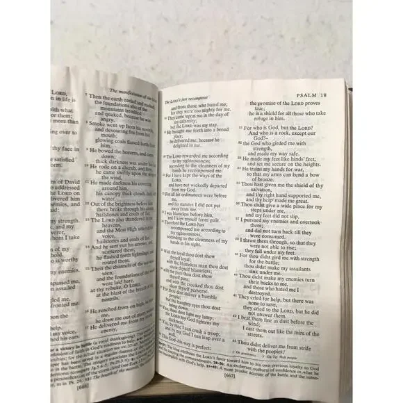 the new Oxford Annotated Bible Revised Standard version some pages stick - Picture 11 of 16